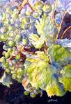 Torn Grape Leaf - Posted on Tuesday, February 3, 2015 by Judith Freeman Clark