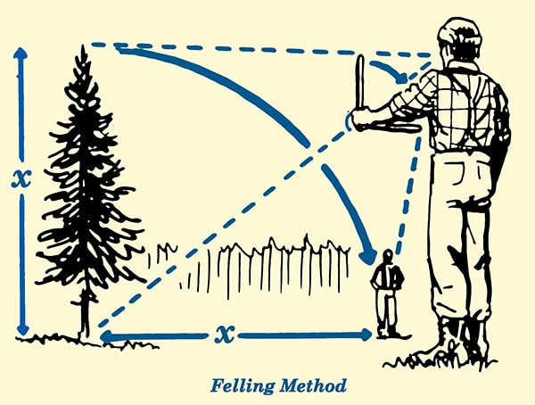 felling method for estimating tree height