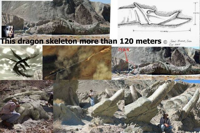 Exceptional Discovery! 120-Meter Skeleton of a Dragon Discovered in the Iranian Desert!