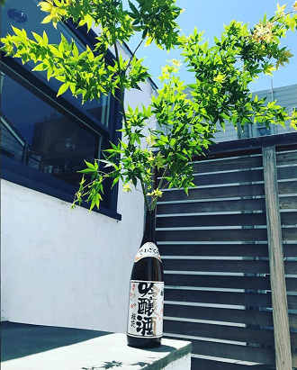 True Sake on Instagram June 2018 A