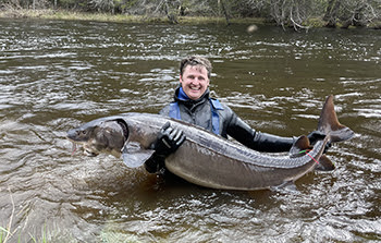 lake sturgeon