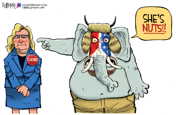 Repiublicans oust Liz Cheney for standing up for democracy