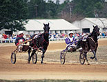 Harness racing at the Pinehurst Harness Track.