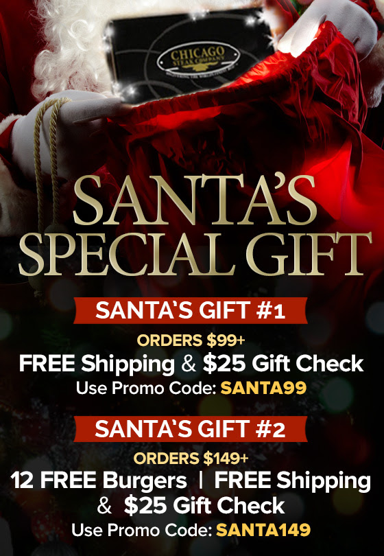 Santa`s Special Gift