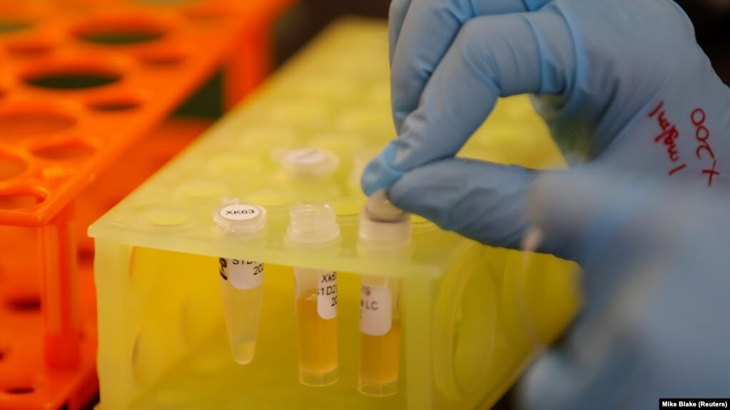 Ảnh minh họa một phòng lab ở Mỹ. Hôm 22/7, Bộ Ngoại giao Việt Nam cho biết Việt Nam đang đàm phán với Hoa Kỳ để sản xuất vaccine mRNA trong nước.