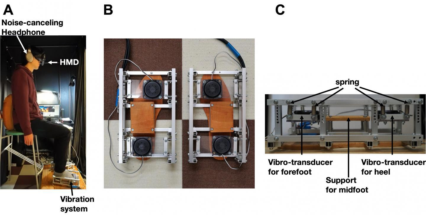 A diagram of the experimental setup