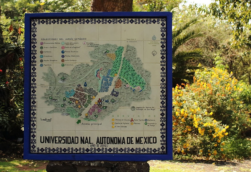 La UNAM es la más bella