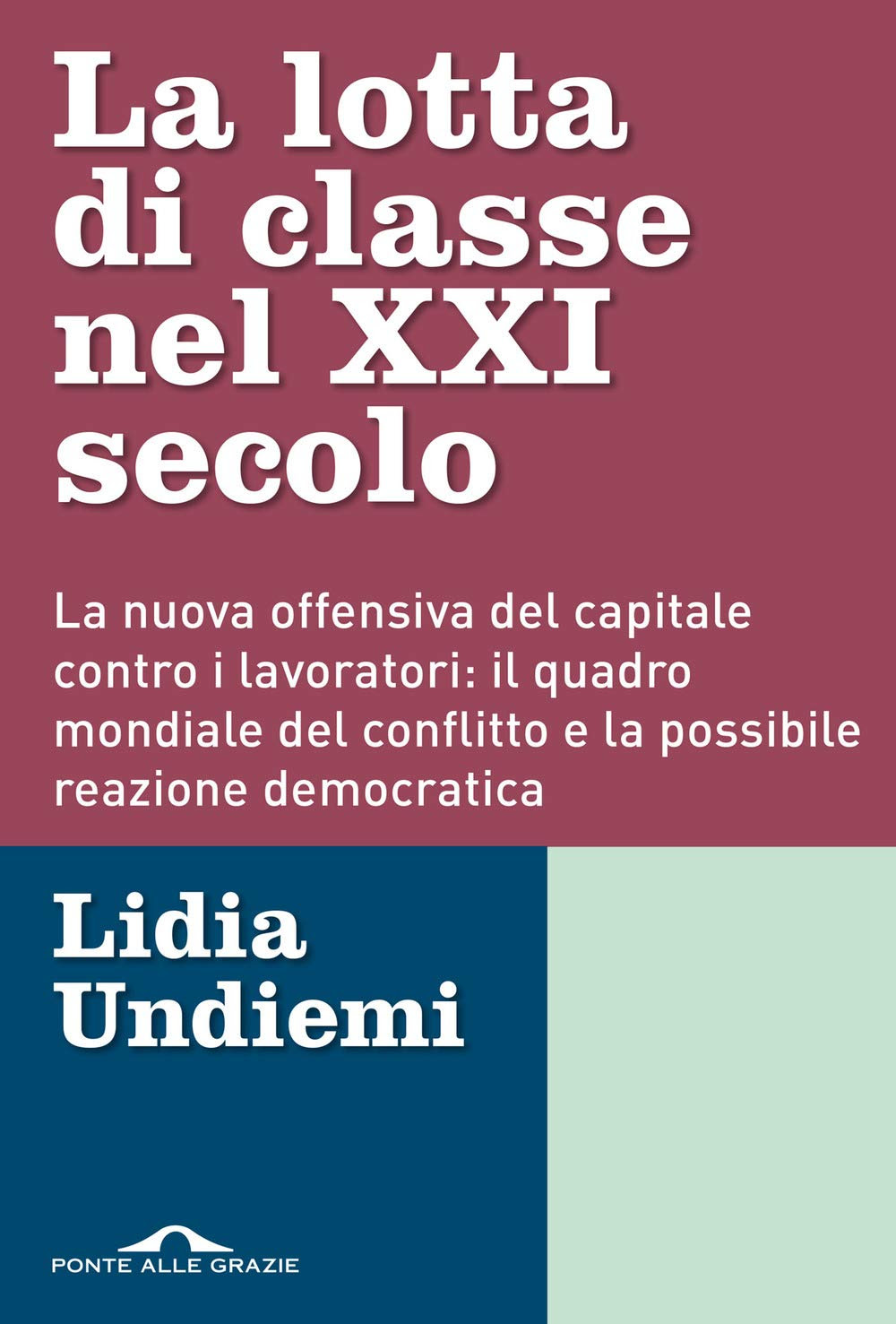 La lotta di classe nel XXI secolo. La nuova offensiva del capitale contro i lavoratori: il quadro mondiale del conflitto e la possibile reazione democratica in Kindle/PDF/EPUB