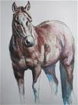 Horse Study - Posted on Wednesday, April 8, 2015 by Kate Less-Madsen