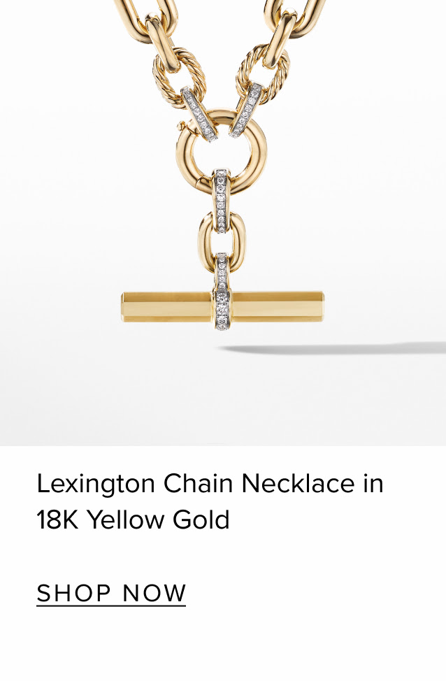 Lexington Chain Necklace in 18K Yellow Gold   SHOP NOW