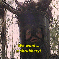 monty python coconut terry gilliam british comedy monty python and the holy grail GIF