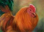 Proud Rooster 2 - Posted on Monday, February 2, 2015 by Sherry Bevins