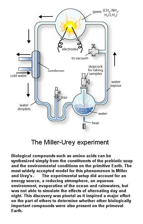 Miller Urey Experiment