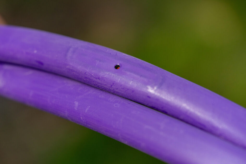 A purple drip line