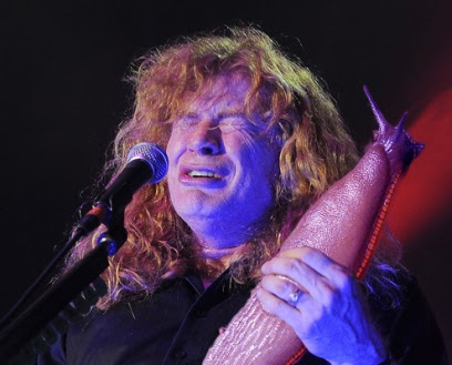 slug Dave Mustaine of Megadeth