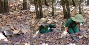 Cu chi tunnel tour