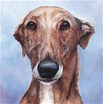 Greyhound Face - Posted on Thursday, April 9, 2015 by Charlotte Yealey