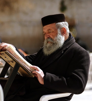 Jewish man reads at the Western Wall