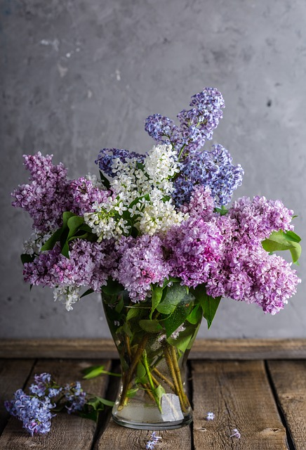 lilacs, bouquet, vase