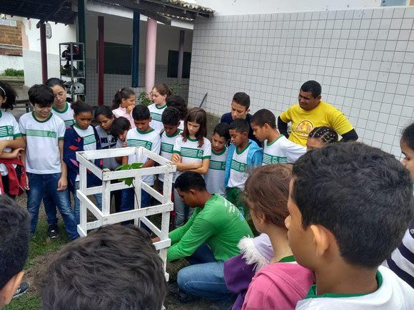 imagem