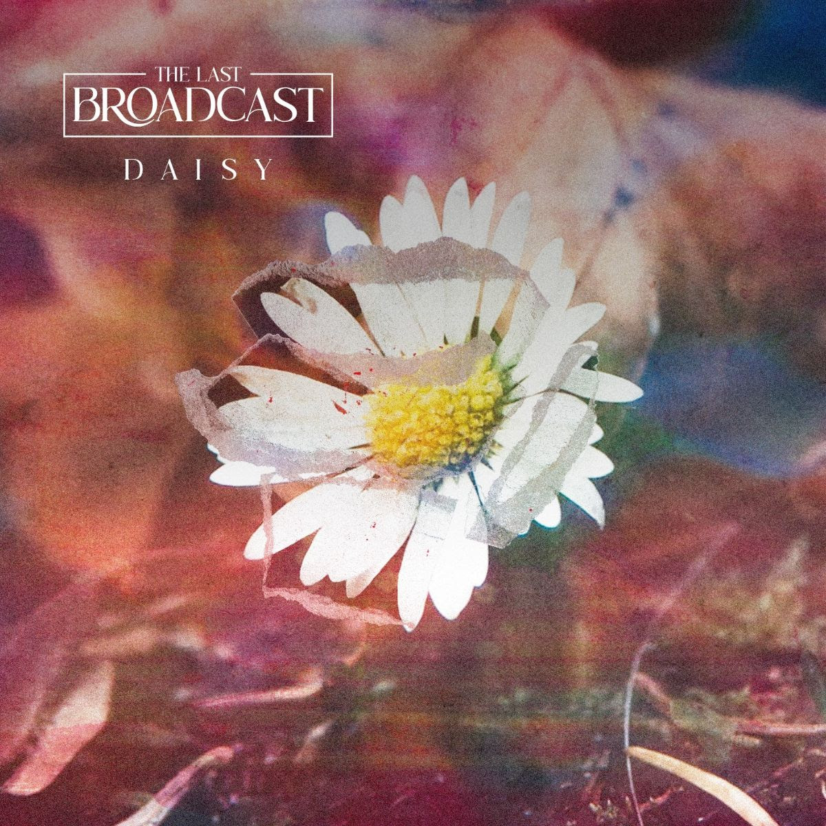 Rising indie-pop band The Last Broadcast announce debut single 'Daisy ...