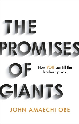 The Promises of Giants PDF