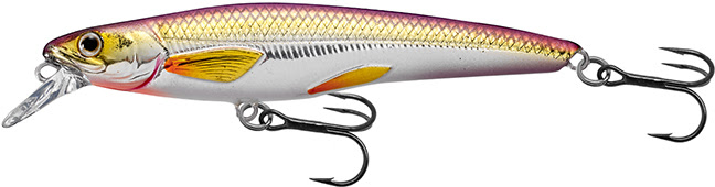  Live Target RS70S202 Rainbow Smelt Shallow Dive