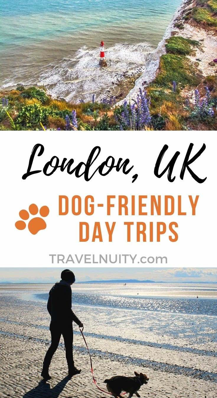 5 Top DogFriendly Day Trips Out of London Travelnuity