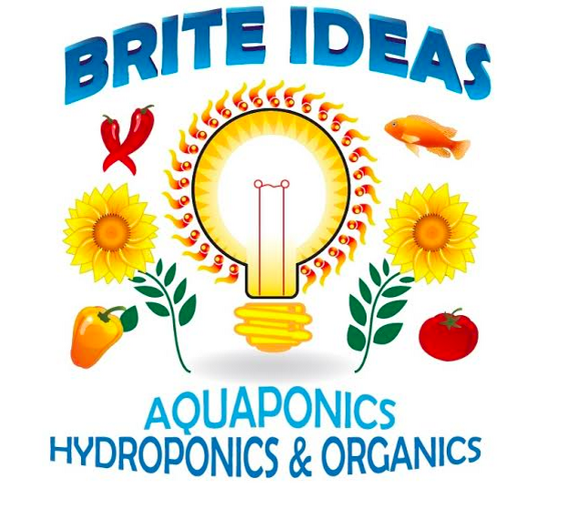 Brite Ideas is hosting a free aquaponics class on Saturday.