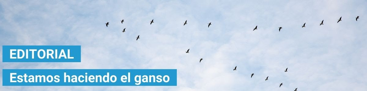 ganso