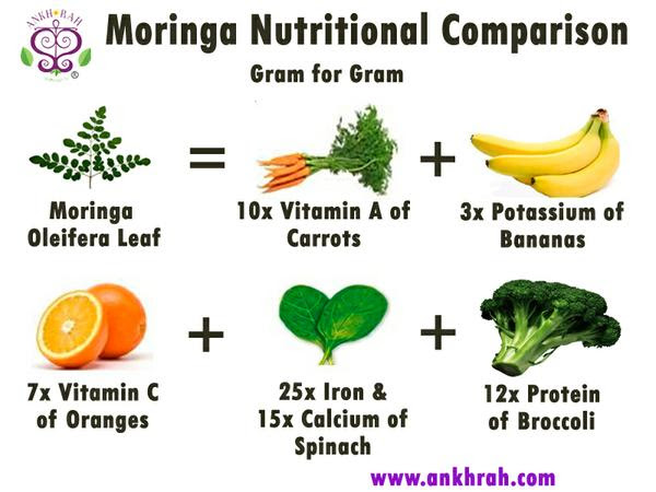 moringa nutritional comparison