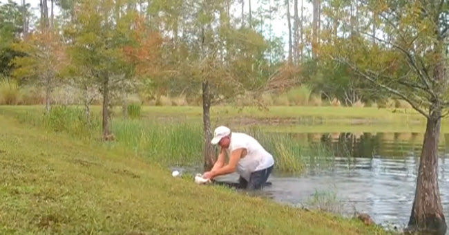 Man saves his puppy from the jaws of an alligator