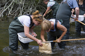 A fish sampling outing on the AuSable River is shown, part of an Academy of Natural Resources teacher-training workshop.