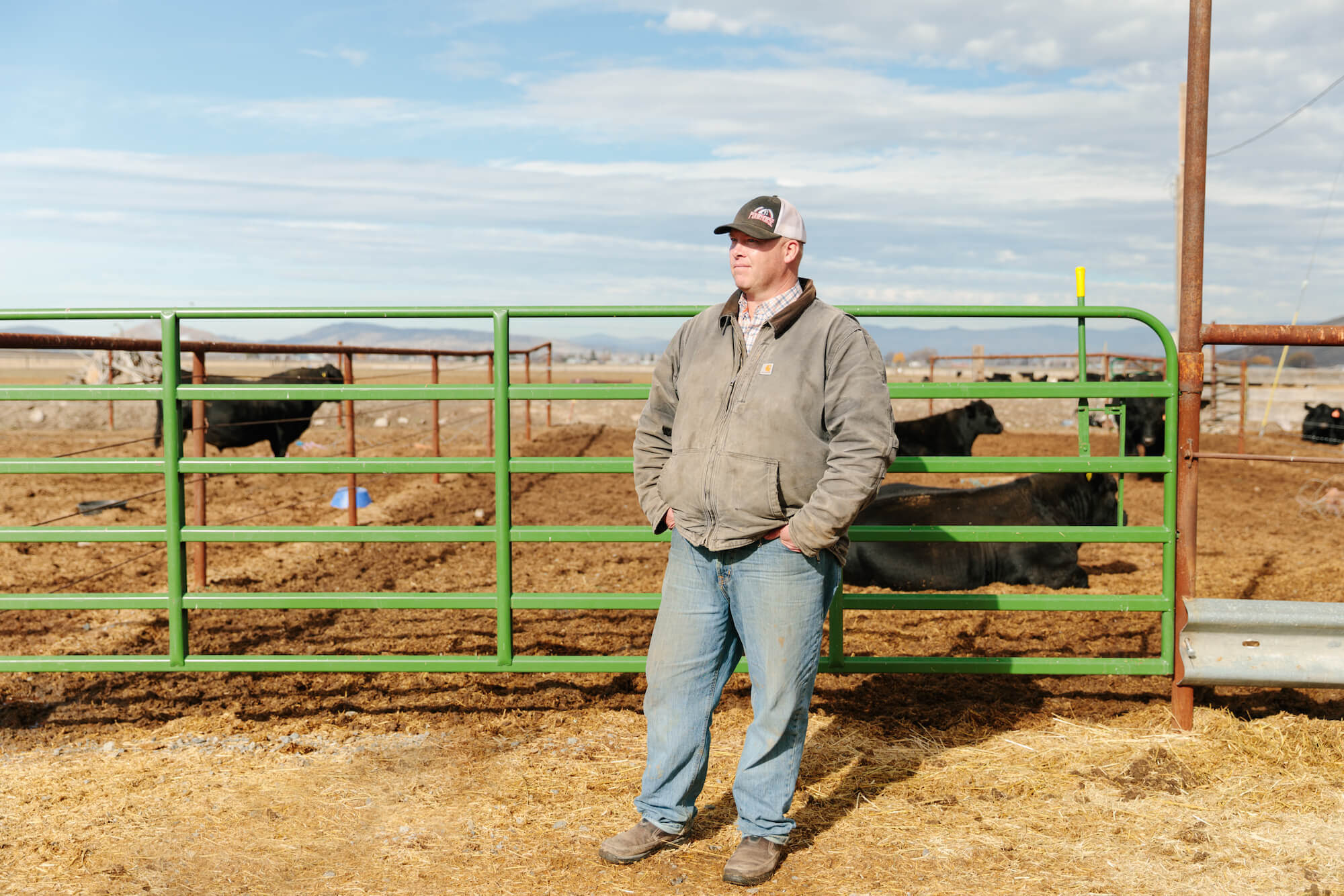Ty Kliewer stands on ranch in front of cows behind a green fence, Klamath, OR 112221