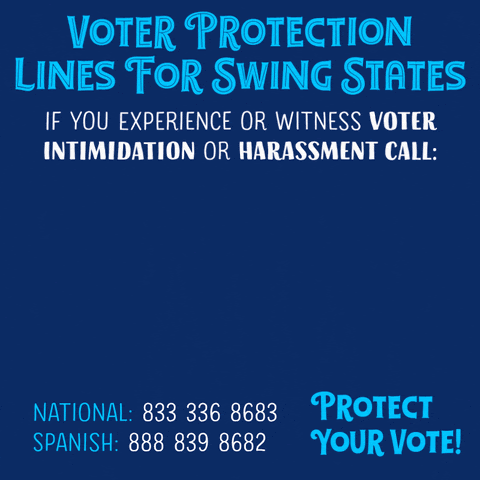 Voter protection lines for Swing States