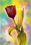 7x10 Red Tulip Flower Colorful Watercolor Original Painting SFA Penny StewArt - Posted on Saturday, November 29, 2014 by Penny Lee StewArt