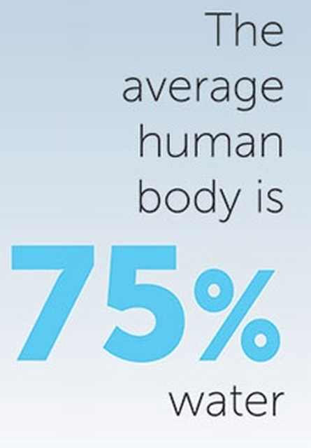75 percent