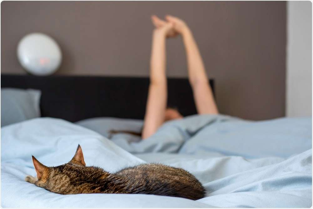 Cat Sleeping on Owners Bed