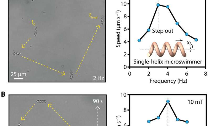 Personalized 3-D magnetic micromachines from patient blood-derived biomaterials