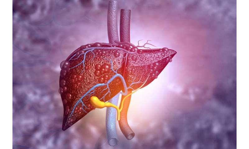 Sensor can detect scarred or fatty liver tissue