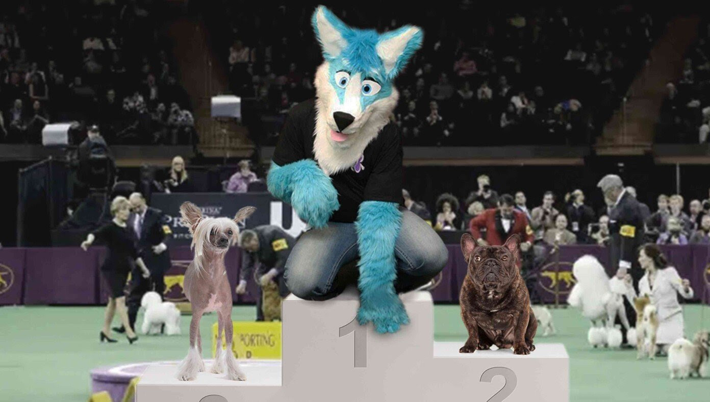 Trans Furry Named Best In Show At National Dog Show