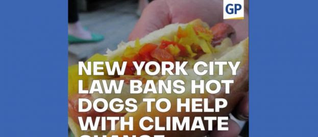 stupidity-new-york-city-law-bans-hot-dogs-to-stop-climate-change-video