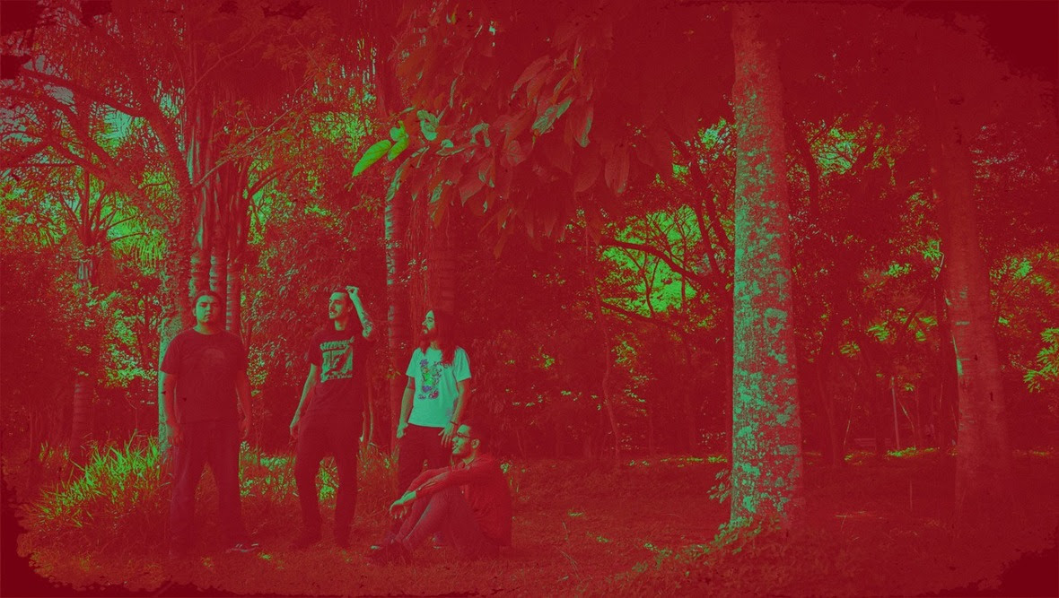 RODV - mkatophoto