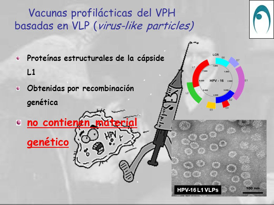 Resultado de imagen de vacuna VPH y estación