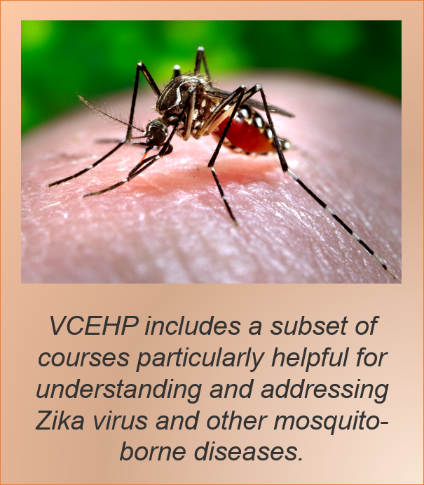 Zika Training Mosquito Seeking training on Zika Virus? VCEHP includes a Subset of courses helpful for understanding and addressing Zika Virus.