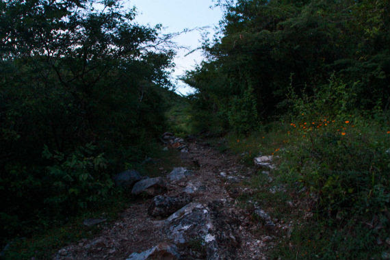 Una de las fosas encontradas en Iguala, Foto: Antonio Cruz, SinEmbargo