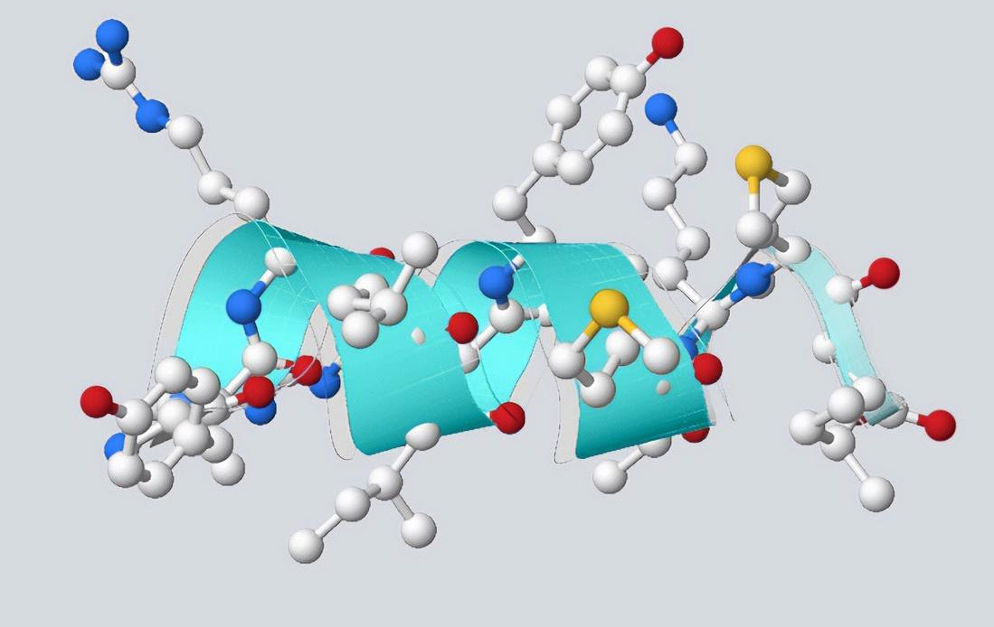 A computer model of one of the new antimicrobial peptides created by IBM's new AI