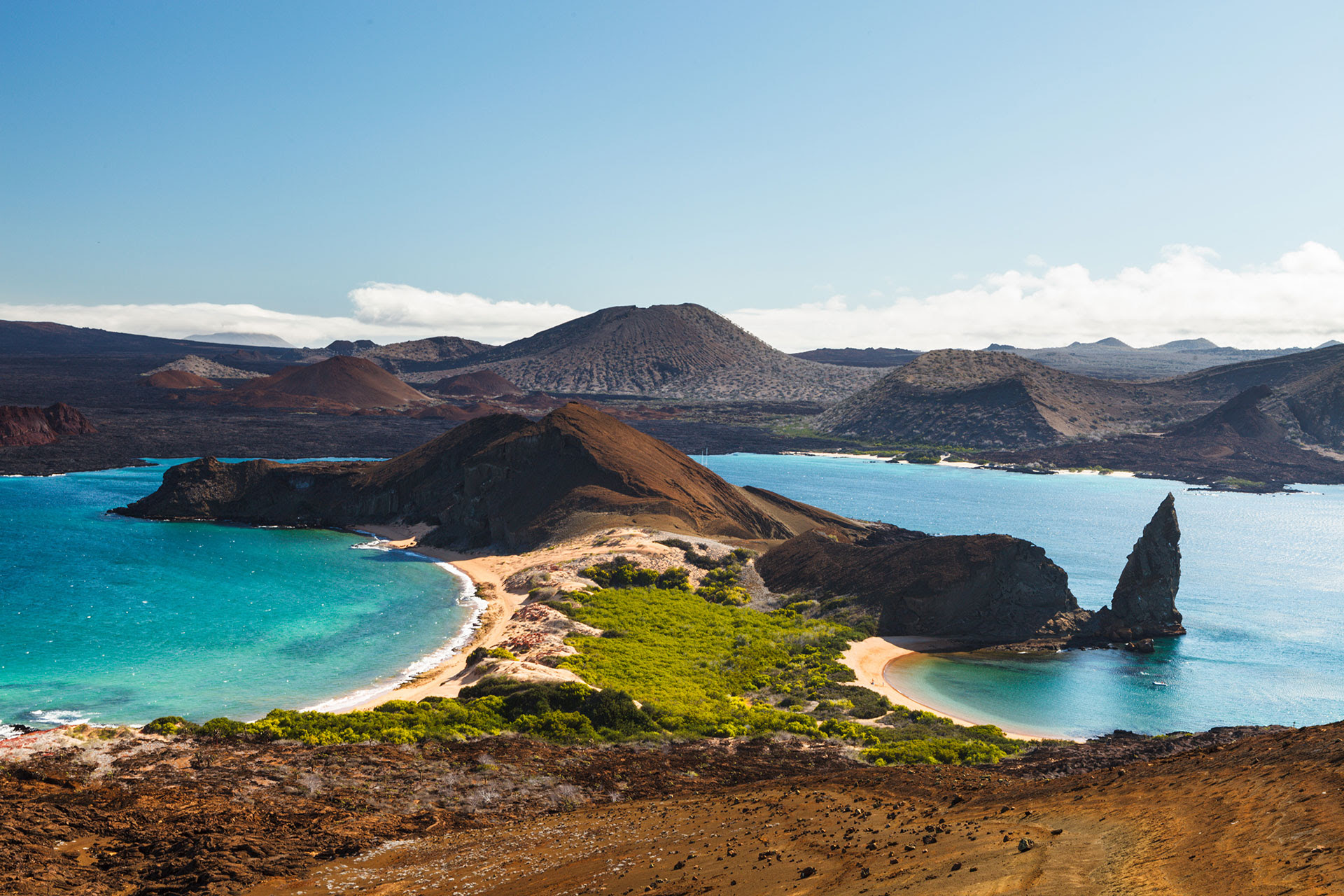 Visitar este tramo de Ecuador de otro tiempo, con tortugas gigantes parecidas a dinosaurios que se mueven pesadamente a través de la hierba alta y piqueros de patas azules de la vida real, es un sueño hecho realidad (Getty Images)