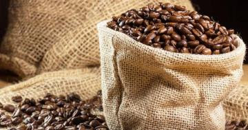 Exportaciones peruanas de café sumaron US$ 354 millones entre enero y septiembre del 2021, mostrando un incremento de 3.5%