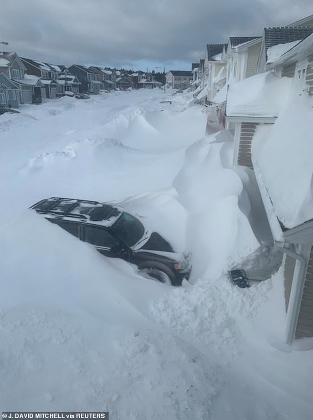 Bom bão tuyết hy hữu làm tê liệt thành phố của Canada - 1